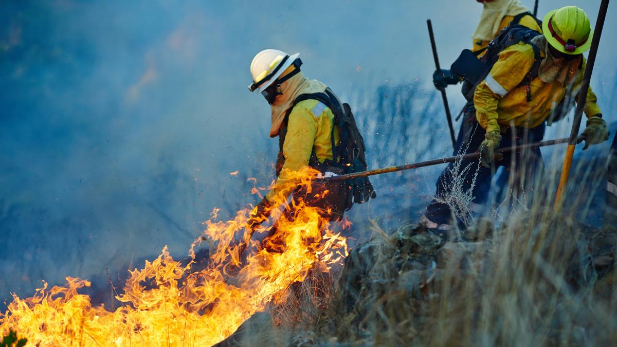 CCOO denuncia enrgicamente la situacin en la que se encuentran los y las bomberas forestales en los distintos dispositivos antiincendios de toda Espaa.