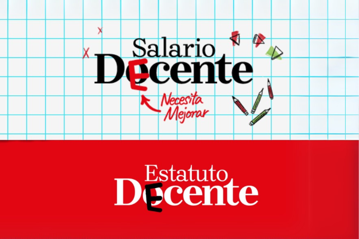 Estatuto Docente. Estatuto Decente