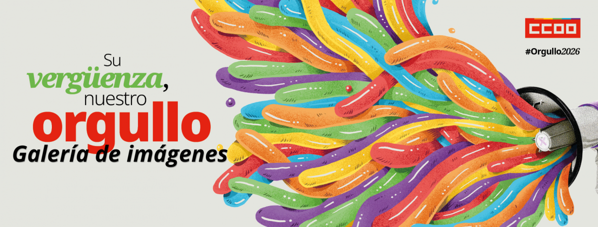 Marcha Estatal Orgullo 2026: su vergüenza, nuestro Orgullo