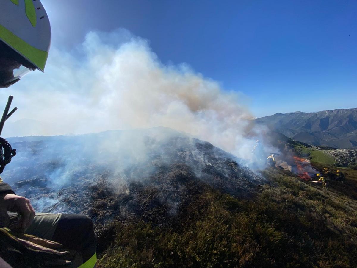 Bomberos y bomberas forestales extinguiendo un incendio