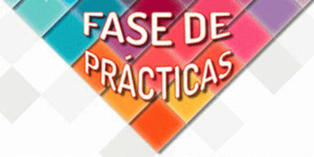 Fase de prcticas