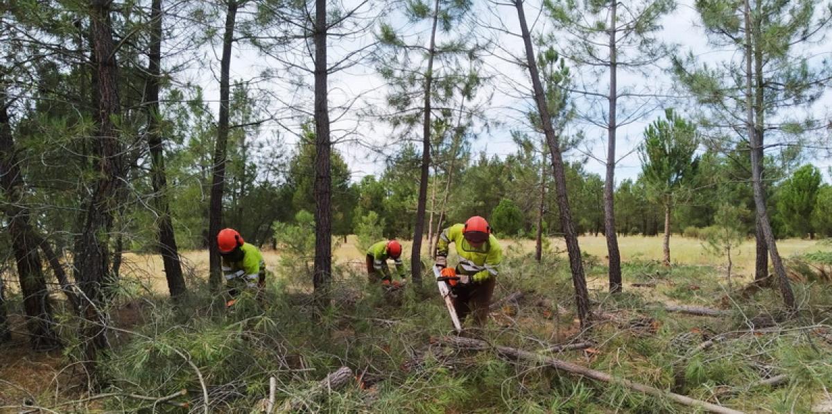 Visita de CCOO a Cuadrillas Forestales Santa Mara la Real de Nieva - Segovia