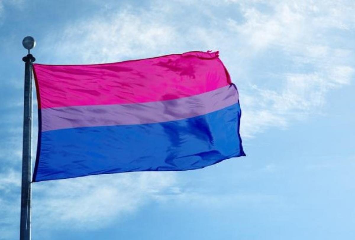 Dia internacional bisexualidad