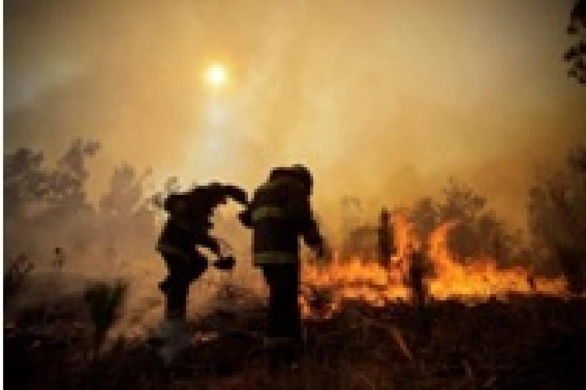 Alegaciones y nuevo Estatuto para los bomberos forestales